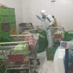 whatsapp image 2025 11 10 at 2.36.08 pm